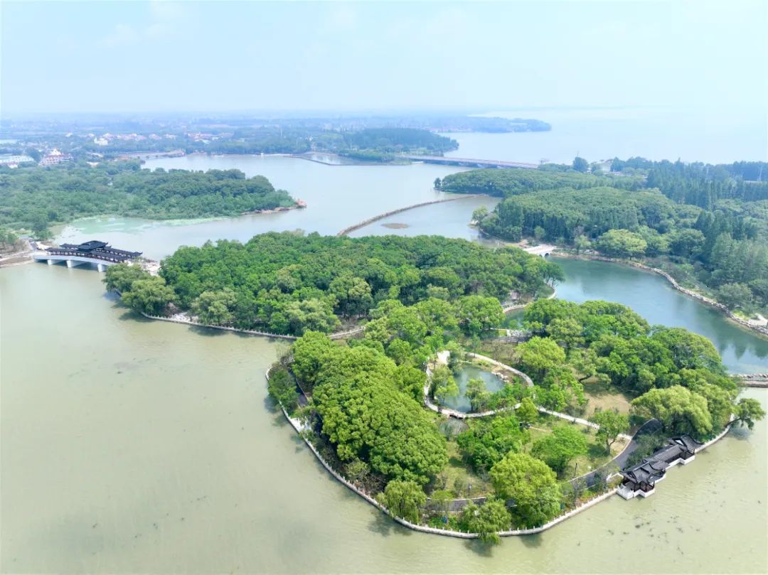 解放日报 | 上海建工:七十载初心如磐,新时代奋斗追梦